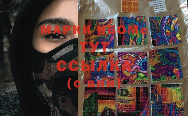 стафф Каменка